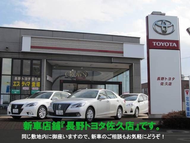 プラタナ 4WD HDDナビ ETC 両側Pスライド(34枚目)
