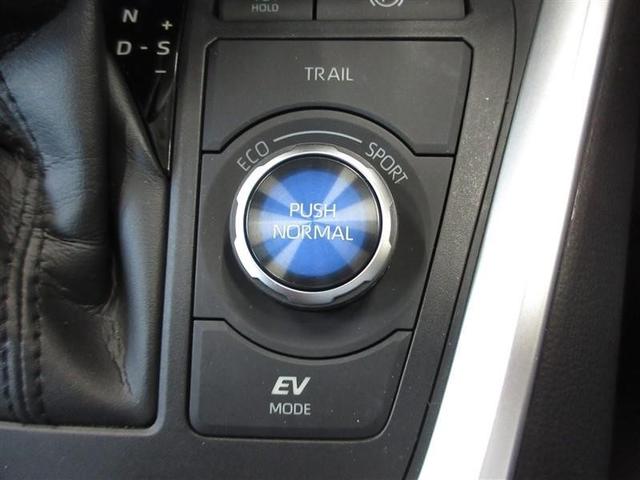 RAV4 ハイブリッドG 4WD フルセグ メモリーナビ ミュージックプレイヤー接続可 バックカメラ 衝突被害軽減システム ETC LEDヘッドランプ ワンオーナー 記録簿(20枚目)