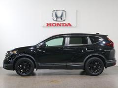 �ܥǥ����顼�ϥ��ꥹ����֥�å��ѡ���Ǥ��� 4