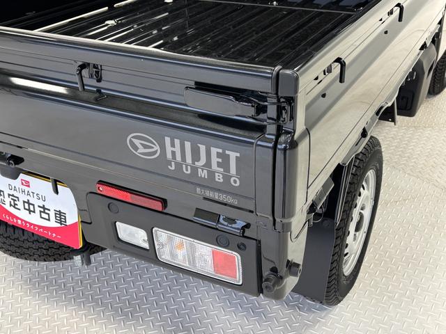 ハイゼットトラック ジャンボエクストラ　カーナビ　オートライト　荷台作業灯　ＭＴ　マニュアルエアコン　ＬＥＤヘッドランプ　ＬＥＤフォグランプ（40枚目）