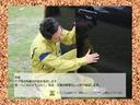 Ｘ　修復歴無し　内外装仕上げ済み　保証付き（27枚目）