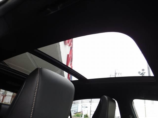 プレミアムアドバンスPKG4WDムーンルーフOPエアロJBL(18枚目)