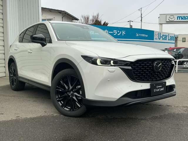 ���Ў���ԂƂ��Ďg�p���Ă����Ԃł�