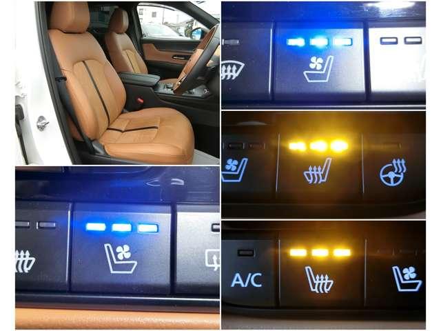 �܂��V�[�g�q�[�^�[�A�V�[�g�x���`���[�V���������ځI