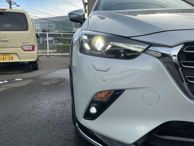 �k�d�c�w�b�h���C�g�Ŗ�Ԃ͖��邭�Ƃ炵�܂�