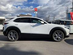 ���꡼��ǥ���������϶������� 5