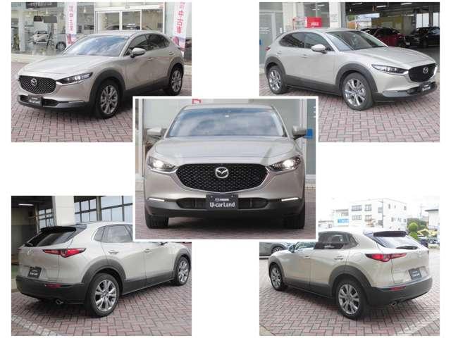 ＣＸ－３０ ２．０　２０Ｓ　プロアクティブ　ツーリングセレクション　ワンオーナー　３６０°モニター　スマホ連携（4枚目）