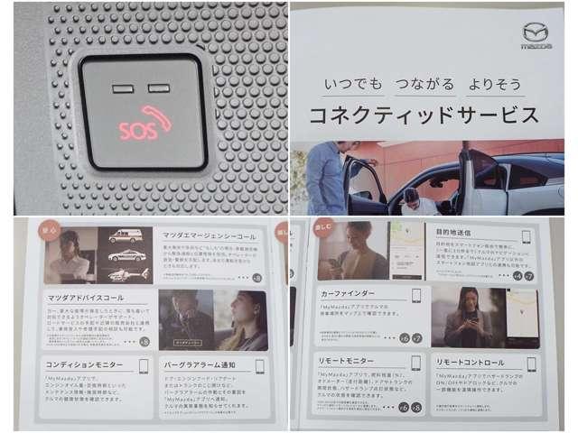 �y�r�n�r�z�G�A�o�b�O�쓮�����ˎ��A�������͎ԓ��̂r�n�r�{�^�����������ۂɋً}�ʕ�I�y���[�^�[�ɘA�g���A�~�}�E�x�@����z���܂��B