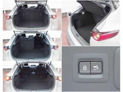 ХåɥγĤϤϤޤưꥢܡޤѺ̤²ιԤˤϽʬ̤Ǥ 6