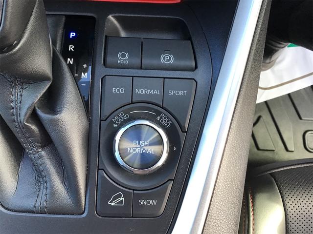ＲＡＶ４ アドベンチャー　オフロードパッケージ（25枚目）
