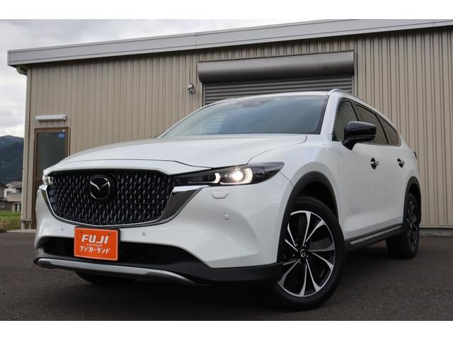 ＣＸ－８ ２５Ｓ　グランドジャーニー　４ＷＤ　ワンオーナー　純正ナビ　３６０°ビューモニター　シートヒーター　パワーシート　ステアリングヒーター　パワーリフトゲート　アダプティブＬＥＤ　ＭＲＣＣ　ＢＳＭ　ＥＴＣ　ＴＶ　ＬＥＤヘッドランプ（12枚目）