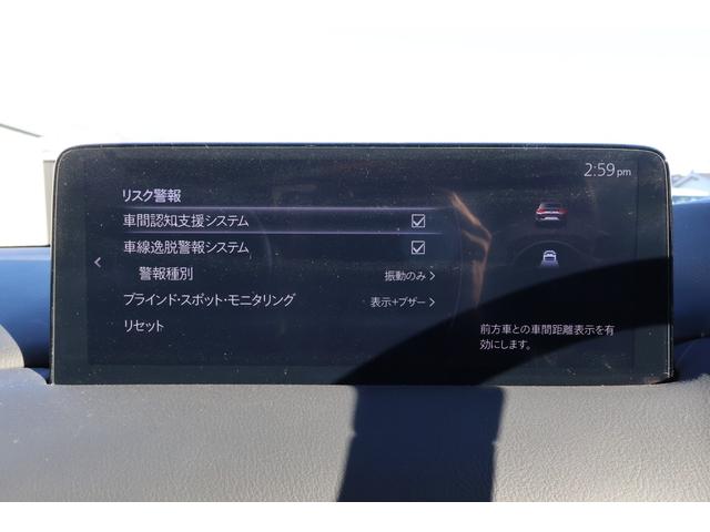 ＣＸ－８ ＸＤ　スポーツアピアランス　４ＷＤ　ワンオーナー　純正ディスプレイオーディオ　フルセグＴＶ　フリップダウン　ＣＤ　ＤＶＤ　ＢＯＳＥ　レッドレザー　パワーシート　シート・ステアヒーター　ベンチレーション　パワーリフトゲート　ＥＴＣ（39枚目）