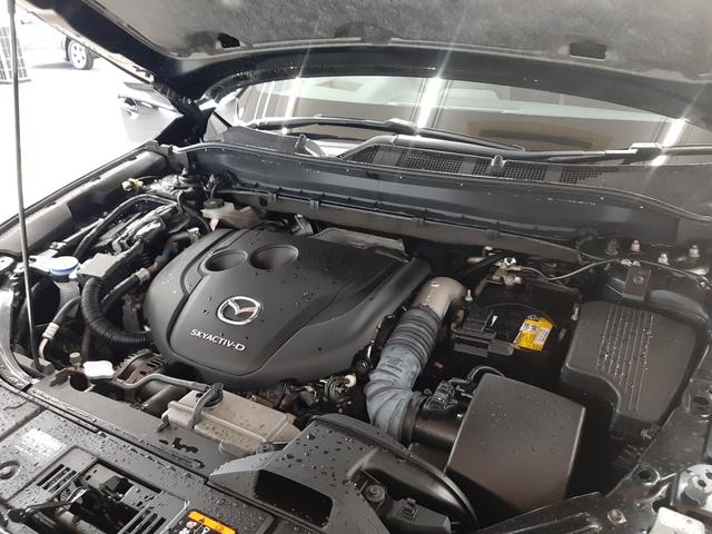 ＣＸ－８ ＸＤ　Ｌパッケージ　４ＷＤ　サンルーフ　茶革電動シート全周囲カメラ　シートベンチレーター　シートヒーター　ハンドルヒーター　ＢＯＳＥ　ナビＴＶ　ブラインドスポットモニター　パーキングセンサー　レーンキープ（19枚目）