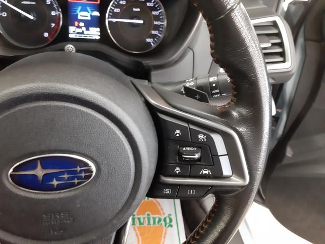 ＸＶ ２．０ｉ－Ｓ　アイサイト　ブラックレザーセレクション　４ＷＤ　禁煙車　特別仕様車　アイサイトｖｅｒ３　純正ＳＤナビ　バックカメラ　ＥＴＣ　レザーシート　ドラレコ　ＢＳＭ　シートヒーター　ナノイー（39枚目）