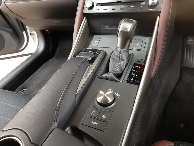 ＩＳ ＩＳ３００ｈ　４ＷＤ　中期型　リモコンエンジンスターター　アダプティブクルーズコントロール　ナビＴＶ　バックカメラ　シートヒーター　電動シート　カードキー　ブラインドスポットモニター　プリクラ　レーンキープアシスト（24枚目）