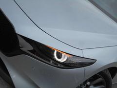 ƼǤݸ갷äƤޤݸǤݸΤȤãˤǤ 4