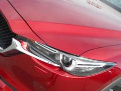 촰ݾָʤɤޤΥƥʥ󥹤ϻãˤǤ 4