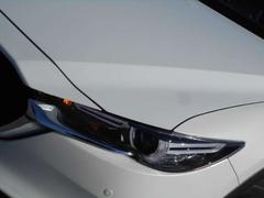 �����������촰�����ݾ���������ָ��������ʤɤ�����ޤΥ��ƥʥ󥹤ϻ�ã�ˤ�Ǥ������������ 3