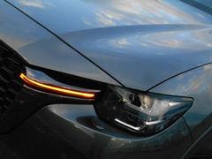 �����������촰�����ݾ���������ָ��������ʤɤ�����ޤΥ��ƥʥ󥹤ϻ�ã�ˤ�Ǥ������������ 4