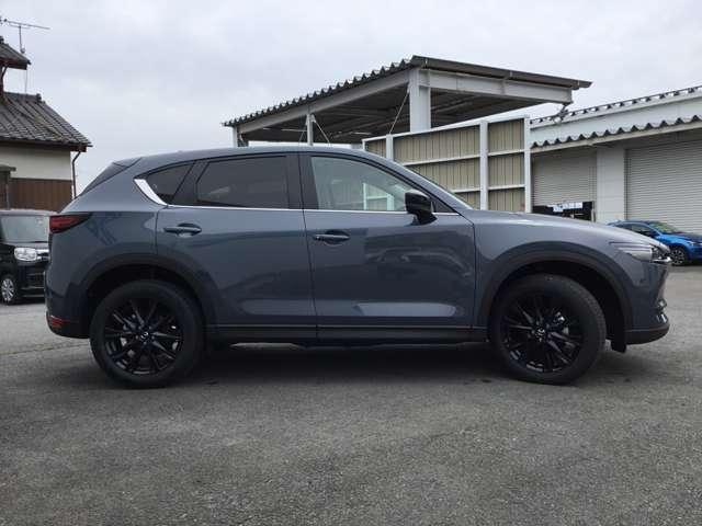 BLACK TONE EDITION 特別仕様車 全方位モニター ナビ ETC(4枚目)