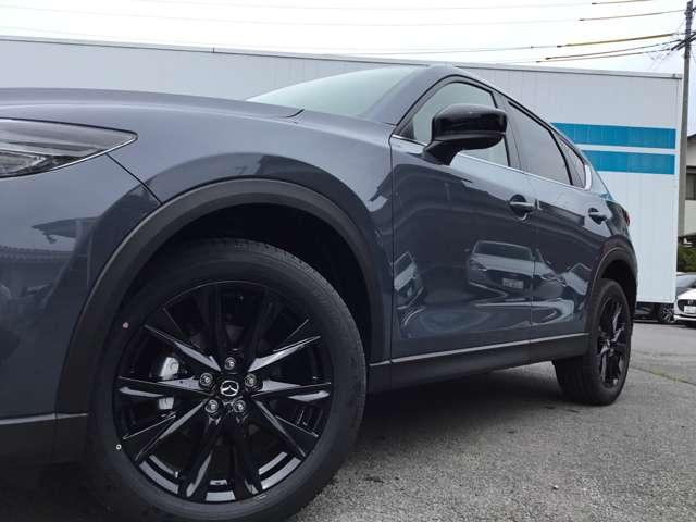 BLACK TONE EDITION 特別仕様車 全方位モニター ナビ ETC(6枚目)