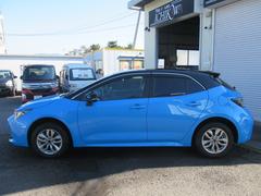 饹ݡ ǡףġȥ西եƥ󥹡ʥӡե륻ԣ 9030476A30251024W001 5