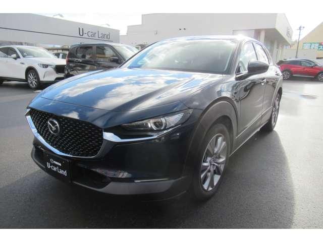 CX-30 2.0 20S プロアクティブ 衝突軽減バックカメラフルセグETC前後ドラ(6枚目)