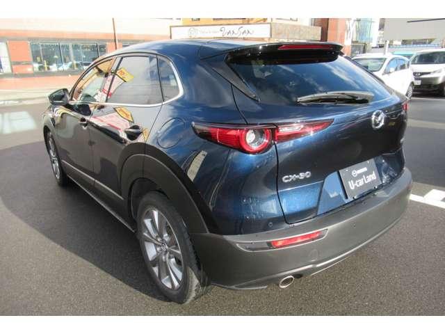CX-30 2.0 20S プロアクティブ 衝突軽減バックカメラフルセグETC前後ドラ(8枚目)