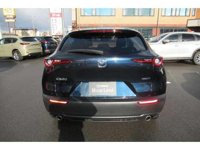 CX-30 2.0 20S プロアクティブ 衝突軽減バックカメラフルセグETC前後ドラ(9枚目)