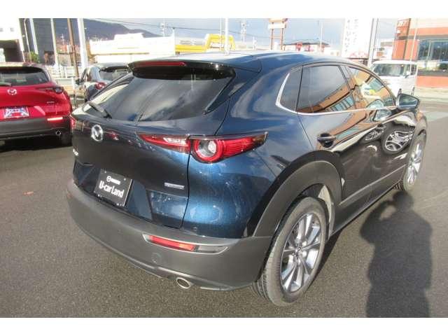 CX-30 2.0 20S プロアクティブ 衝突軽減バックカメラフルセグETC前後ドラ(10枚目)