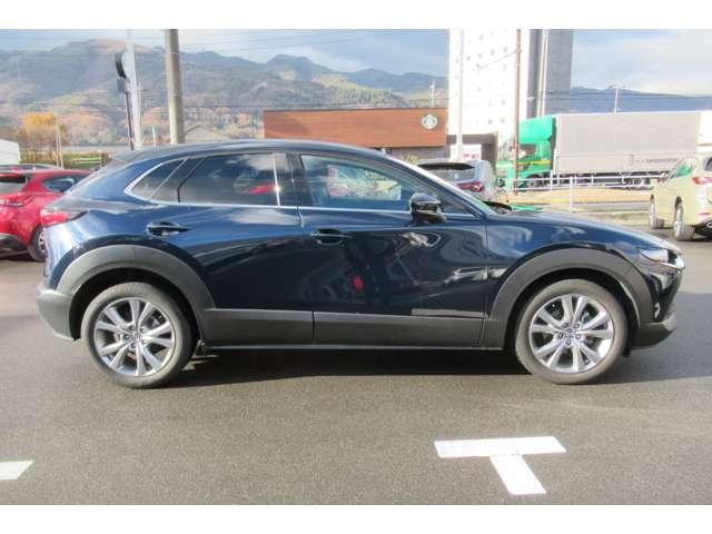 CX-30 2.0 20S プロアクティブ 衝突軽減バックカメラフルセグETC前後ドラ(11枚目)