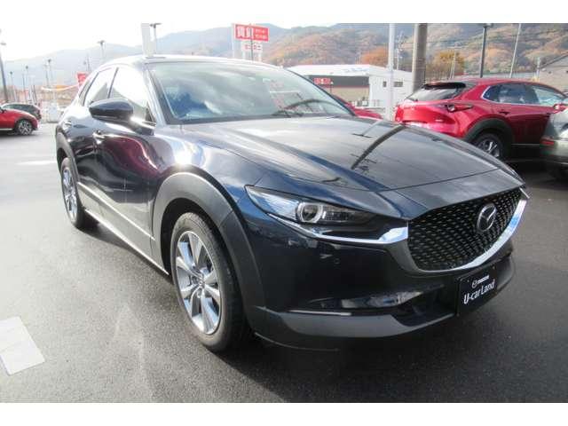 CX-30 2.0 20S プロアクティブ 衝突軽減バックカメラフルセグETC前後ドラ(12枚目)