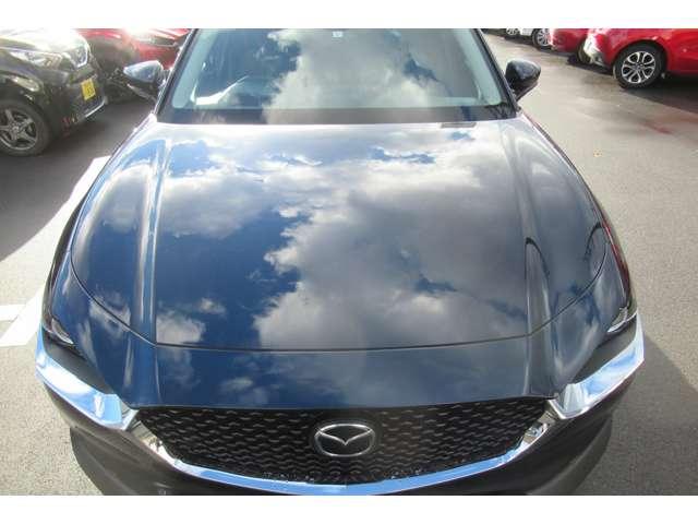 CX-30 2.0 20S プロアクティブ 衝突軽減バックカメラフルセグETC前後ドラ(14枚目)