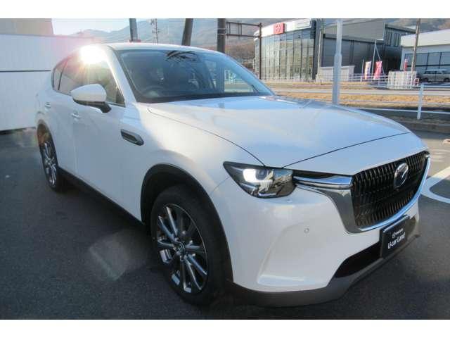 ���ÎԂł������f�B�[���[�I�v�V���������t���邱�Ƃ��\�ł��B�o�C�U�[��h�����R�E�d�s�b�����Ă��Ȃ��Ԃł����C�y�ɂ����k���������B