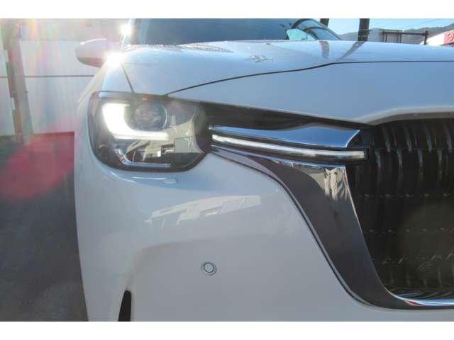 �}�c�_�ԈȊO�̑������̉���Ԃ̂����k�����C�y�ɂǂ����I