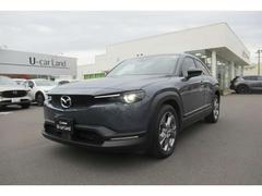 ͣءݣ ףġͷڸ֥ݥ졼ݥݥȥݥ 9030619A20251101Z001 6