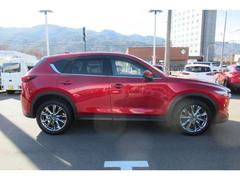 ɻܥǥƥ󥰤λܹǽǤ 7