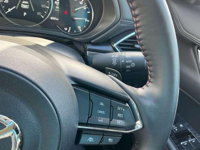 ���[�_�[�N���[�Y�E�p�h���V�t�g�E�I�[�g���C�g�I