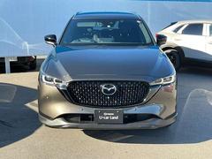 �������顼�����˥���ե�å���ޥ����� 2