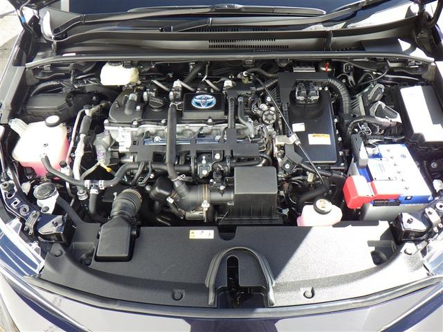 �C�ɂȂ鏊�Ȃǂ������܂�����ǂ������C�y�ɂ����|�����������B