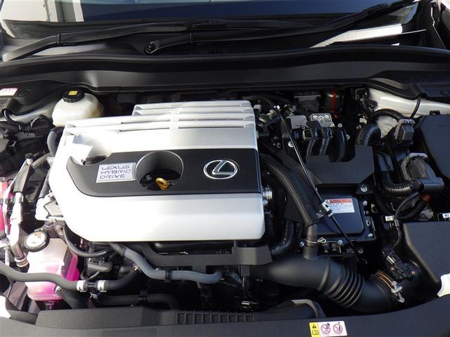 �C�ɂȂ鏊�Ȃǂ������܂�����ǂ������C�y�ɂ����|�����������B