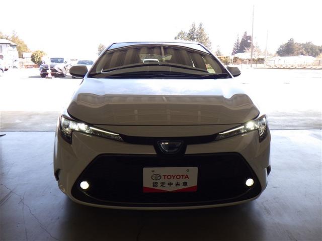 �v���E�X��A�N�A�Ȃǂ̐l�C�Ԏ�ɉ����A�y��r�t�u�ȂǑ��ʂȃ��C���i�b�v����葵���Ă���܂���