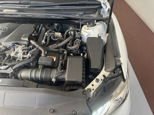 ���ʒ�������{���I�����E�����N�����ɂR�D�X���I�I�W�S��܂ł��x�����\�I���Ђ��������������B