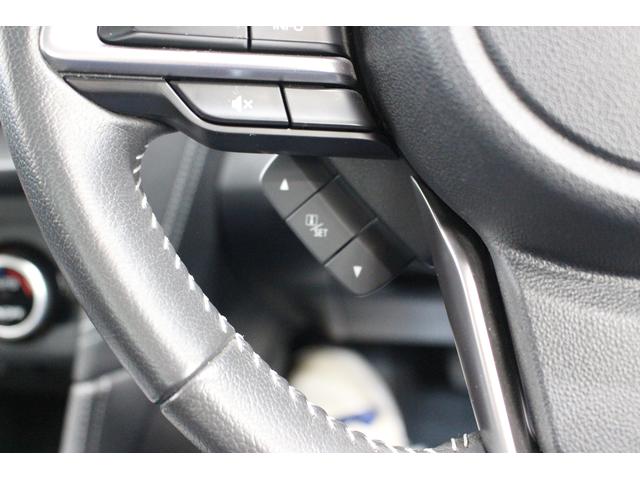 2.0i-L アイサイト 4WD 純正ドライブレコーダー SDナビ フルセグTV バックカメラ ETC2.0 Bluetooth接続可 記録簿付き(13枚目)