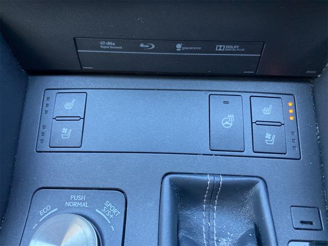 RC RC300h Fスポーツ 前後ドライブレコーダー 純正メモリーナビ ブルーレイ Bluetooth バックカメラ ETC2.0車載器 本革シートヒーター&エアコン ハンドルヒーター 三眼lEDヘッドライト 走行44000Km台(48枚目)