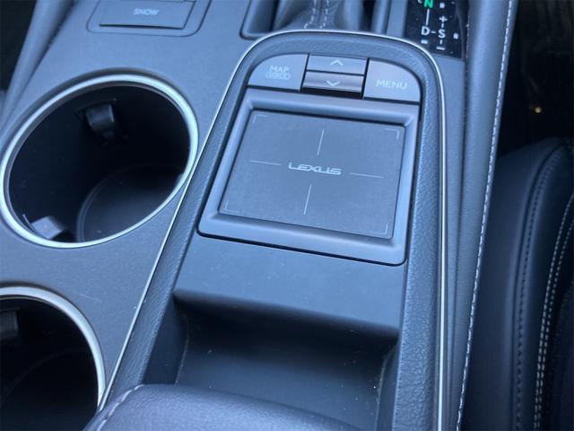 RC RC300h Fスポーツ 前後ドライブレコーダー 純正メモリーナビ ブルーレイ Bluetooth バックカメラ ETC2.0車載器 本革シートヒーター&エアコン ハンドルヒーター 三眼lEDヘッドライト 走行44000Km台(51枚目)