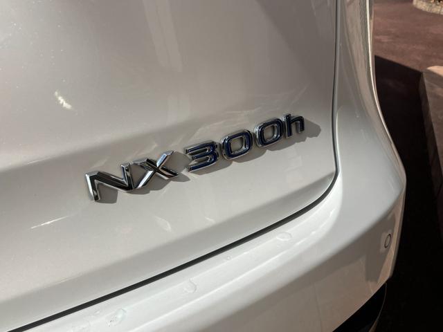 NX NX300h バージョンL 4WD ナビTV バックカメラ ETC パワーシート クルーズコントロール レーンアシスト クリアランスソナー プッシュスタート ブレーキホールドシステム 電動パーキングブレーキ(15枚目)