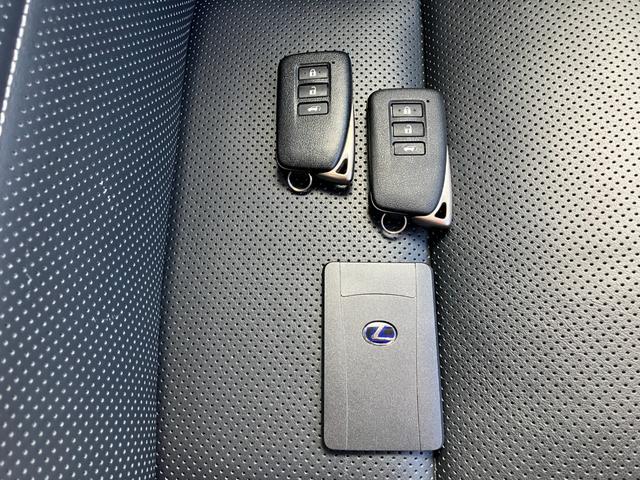 NX NX300h バージョンL 4WD ナビTV バックカメラ ETC パワーシート クルーズコントロール レーンアシスト クリアランスソナー プッシュスタート ブレーキホールドシステム 電動パーキングブレーキ(58枚目)