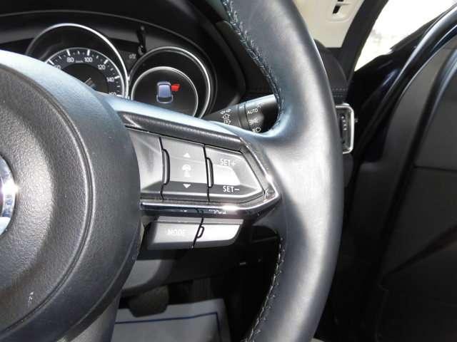 2.2 XD プロアクティブ ディーゼルターボ 4WD (13枚目)