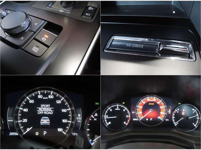 �h���I�ȃX�|�[�c���[�h��